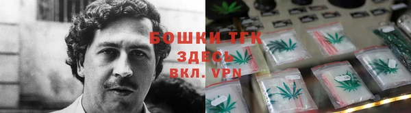 молекула духа Аркадак