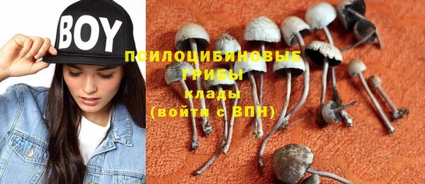 сатива Баксан