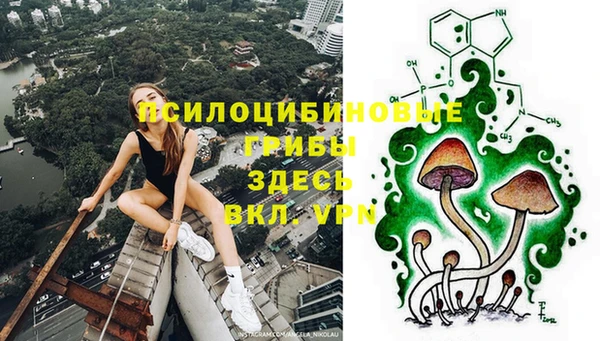 стаф Балабаново